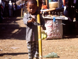 barma_05