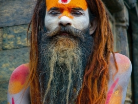 him_1524